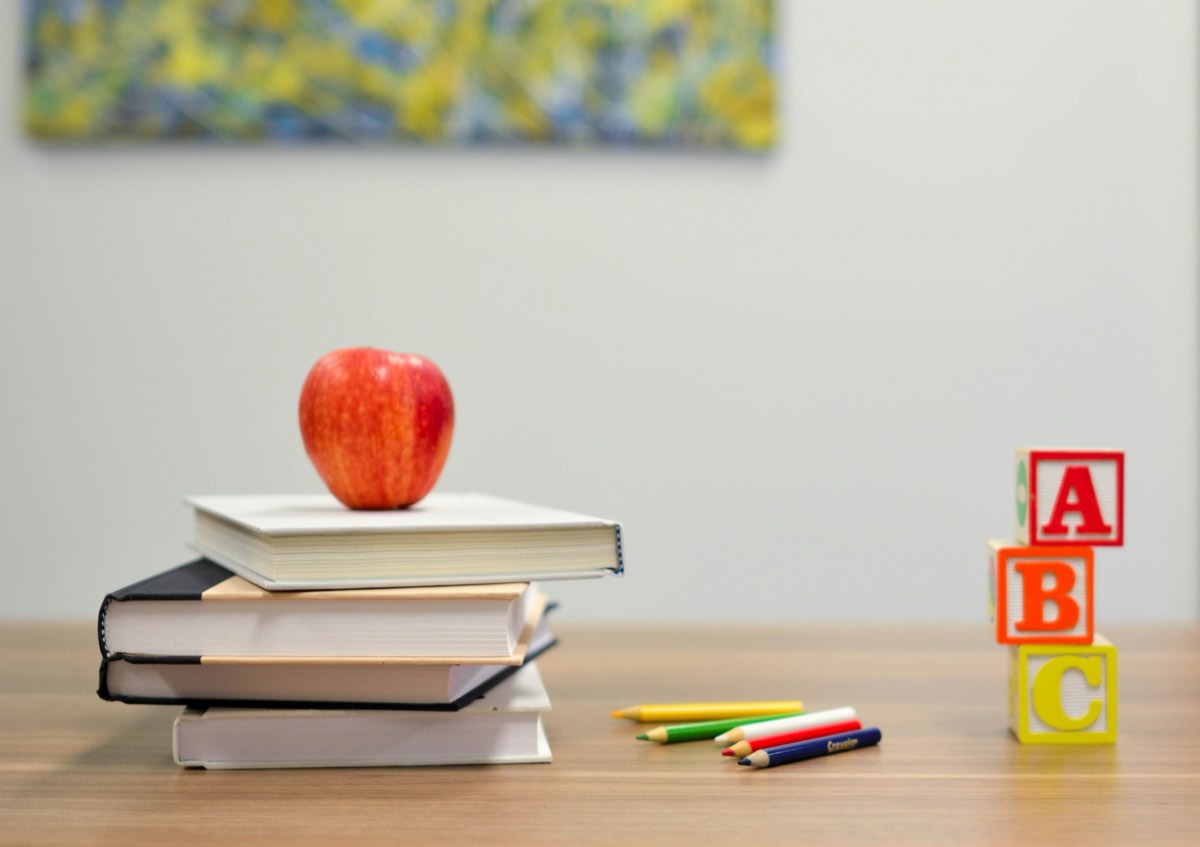 Material de estudio en Estells